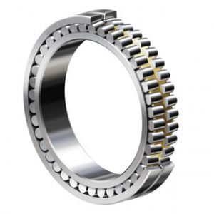 Double Row Cylindrical Roller Bearing